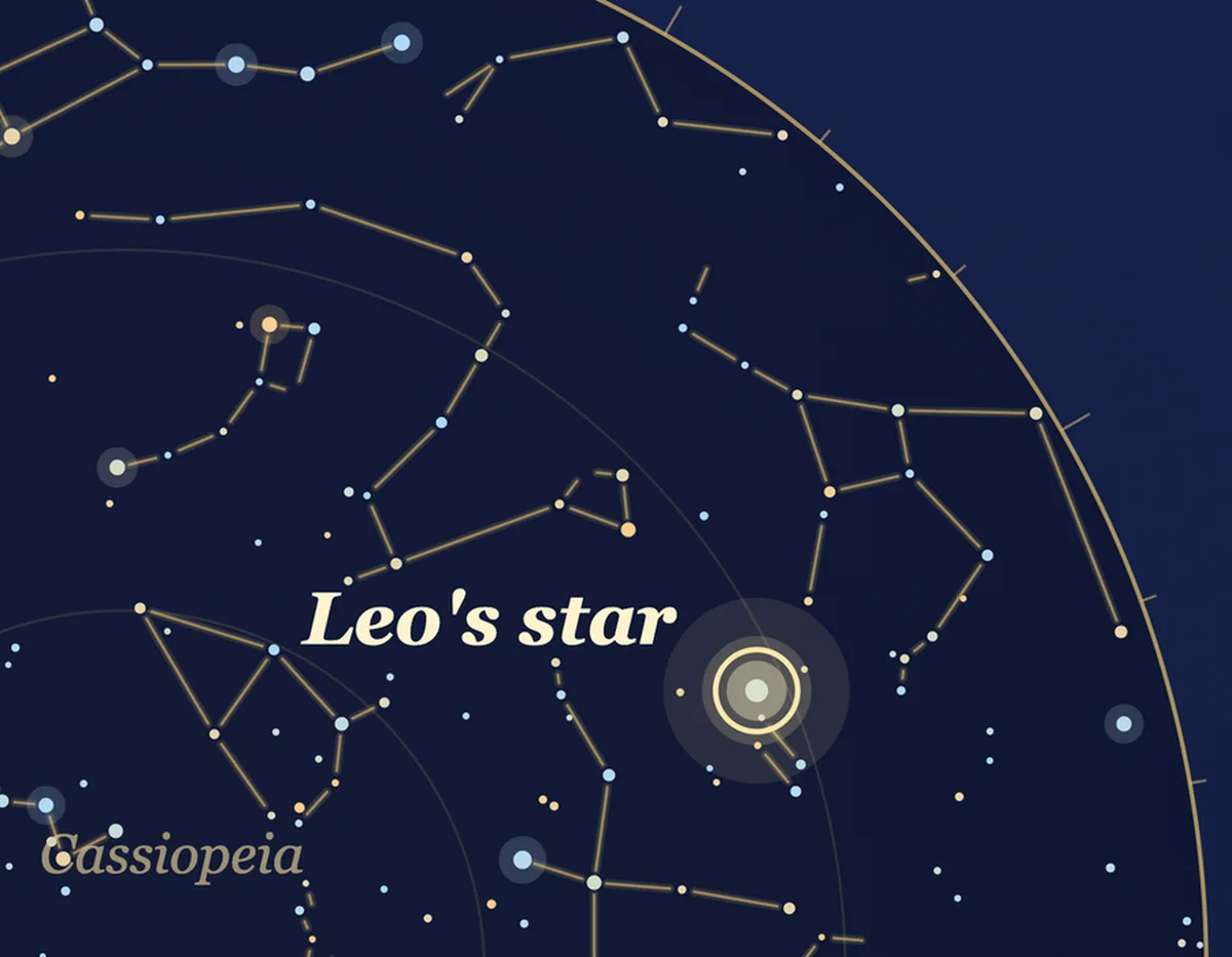 Close-up of a star map gift: a featured star labeled 'Leo's star' among real constellations.